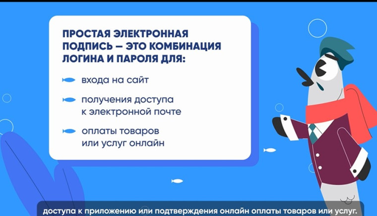 Цифровой ликбез.